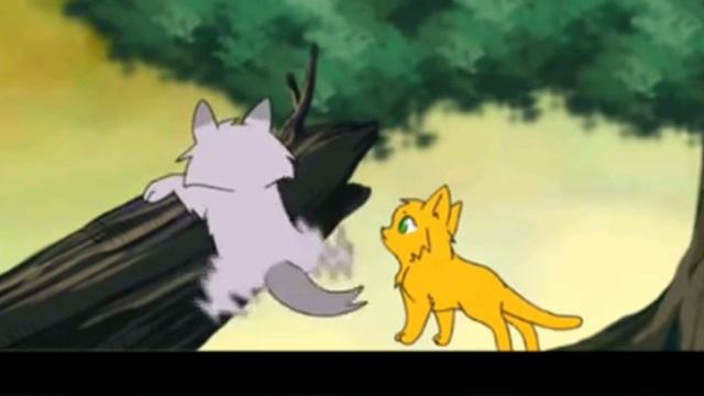 Крутобок решил станцевать-коты воители смотреть онлайн