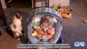 Смешные маленькие дети