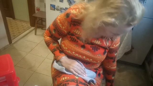 влог делаю розу и мукбанг грибной суп. и вкусный суп с грибами смотреть онлайн