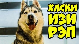 ХАСКИ ИЗИ РЭП!! Все музыкальные серии подряд!! (Хаски Бандит) Говорящая собака