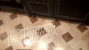 Работа болгаркой чуть не привела к трагедии. Разлетелся диск на болгарке и пробил....mp4