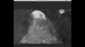 Желтояр. Самая аномальная зона Воронежской области