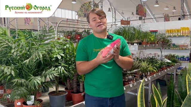 ОРГАНИЧЕСКИЕ ИЛИ МИНЕРАЛЬНЫЕ УДОБРЕНИЯ