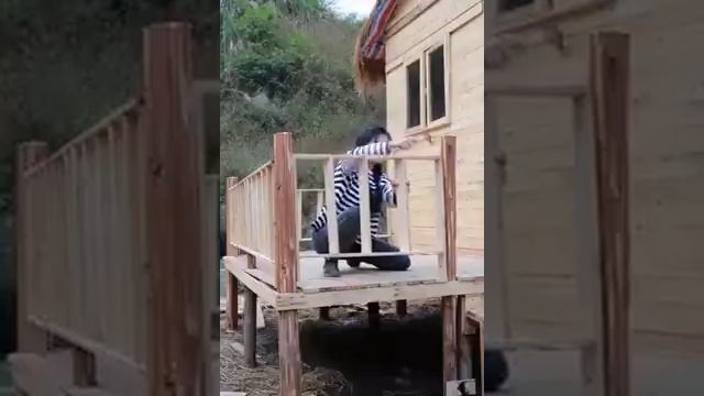 Строительство дома)