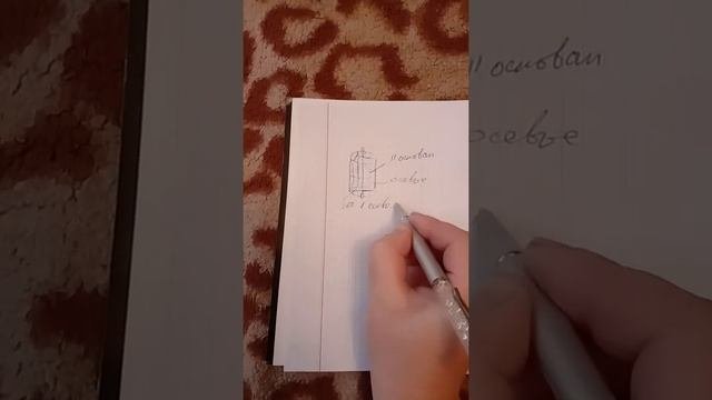 Сечения цилиндра