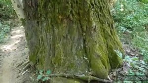 Место для купания в г. Горячий Ключ это Долина очарования