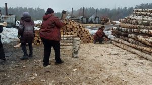 как делаем берёзовый уголь