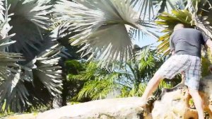 Lucas Lagoons Natural Lagoon Pool with Rock Waterfalls and Stone Waterfall Grotto