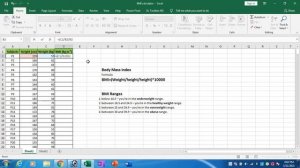 How to Calculate Body Mass Index (BMI) in Excel?
