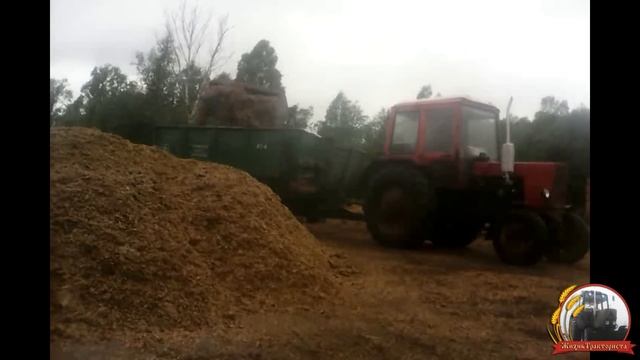 Вечерняя раздача кормов смотреть онлайн