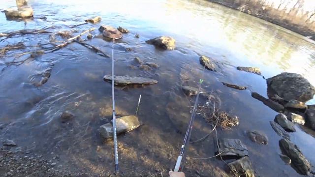 ХЕРАБУНА - Чикаго ... проверил местные каналы! смотреть онлайн