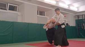 ЧУДАН ЦКИ ИРИМИ в АЙКИДО