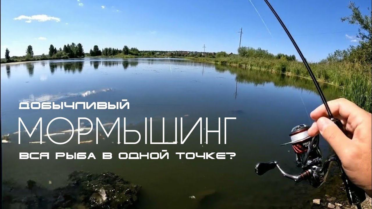 Вся рыба в одной точке. УДОБНО. Добычливый МОРМЫШИНГ