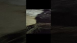Люблю гулять☺️☺️