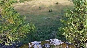 Усьва  Скальные останцы  Место где проходили съемки фильма Сердце Пармы