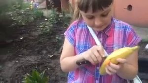 Мастер класс " Как сделать лебедя из банана"