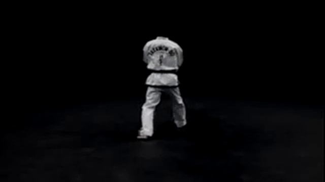 24 A Черный пояс 6 й дан Туль Тонг Ил смотреть онлайн