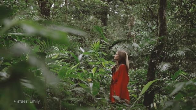 Я просила любви у Бога.. смотреть онлайн