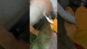 Очистка металлической трубы кристаллами сухого льда от битума