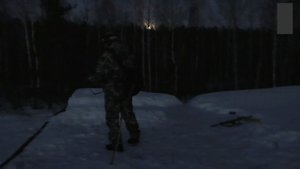 Сайга - МК 223 Rem без ДТК (пламегасителя)