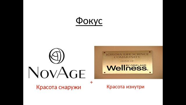 Вебинар для новичков и партнеров! Как правильно начать? смотреть онлайн