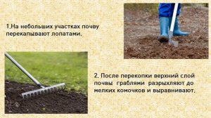 Биология. Тема урока "Весенняя обработка почвы"