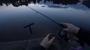 Июльская Ночка с Фидером на Верхней Москва Реке. Ночная Рыбалка.