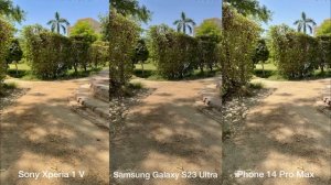 Sony Xperia 1 V vs Samsung Galaxy S23 Ultra vs iPhone 14 Pro Max Camera Test