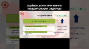 Общий белок в крови: норма и причины снижения/повышения концентрации