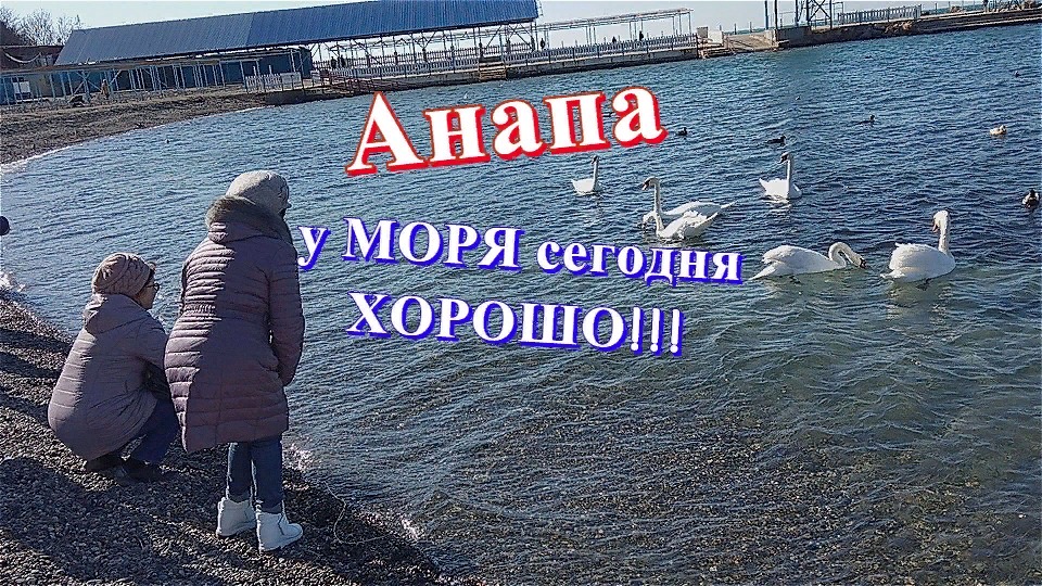 Проект живи у моря ижевск