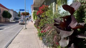 Дизайн создавший неповторимость города. Эстония. Выру.