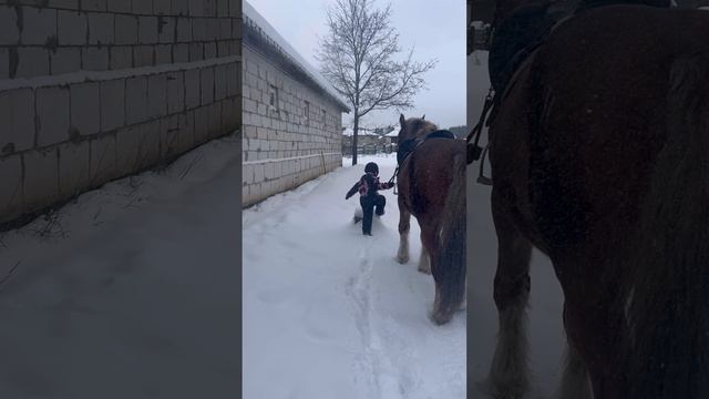 Счастье в мелочах