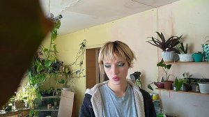 Проращивание ячменя для коз в домашних условиях без установки гидропонической