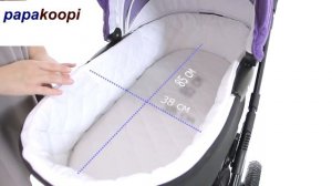 детские коляски   |  2 в 1 Camarelo Sevilla
