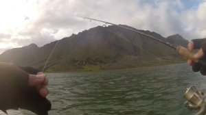 Воркута 2016. Ловим арктического гольца