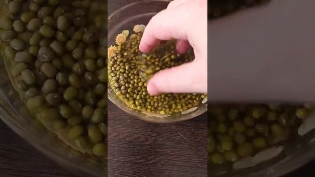 А вы пробовали Машу? Рецепт салата из бобов мунг