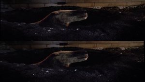 Музей естественной истории с Д. Аттенборо в живую. 3D FullHD. (Вертикальная анаморфная стереопара)