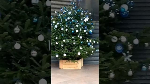 #shorts Вокзал Антверпен Бельгия елка/train station antwerp belgium christmas tree