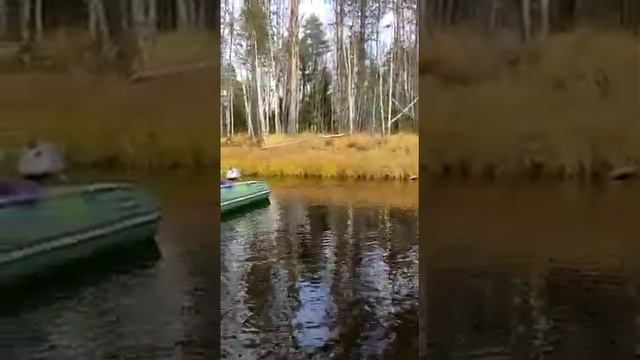 Осеняя щука в Карелии#рыбалка #карелия #осень смотреть онлайн