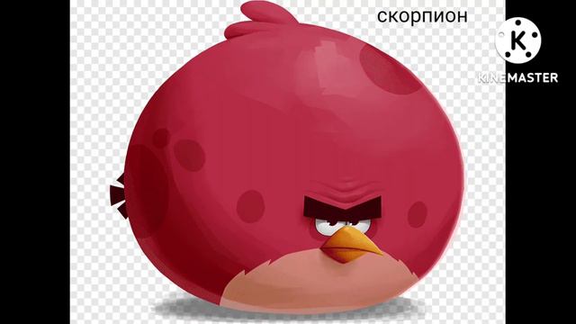 какой ты персонаж из Энгри бёрдс по знаку зодиака смотреть онлайн