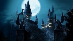 Harry Potter - Hogwarts Gate | Music & Ambience 4k