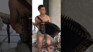 Нижегородская гармонь. Наигрыши