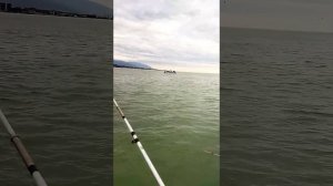 Морская рыбалка. Зимний Сочи 2022 г.