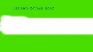 все пояса в джиу-джитсу