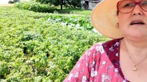Украинское село🌻Идем проведывать соседей.Баба Оля , Лида и Толя