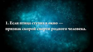 К чему снится птица залетевшая в дом — Онлайн Сонник Эксперт
