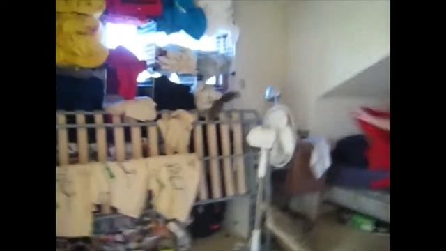 Белка добралась до орехов смотреть онлайн