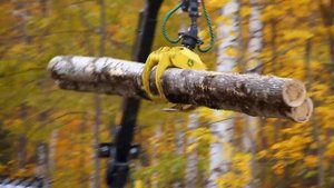 Отзыв ООО 'ГРИН ФОРЕСТ' о лесозаготовительной технике John Deere