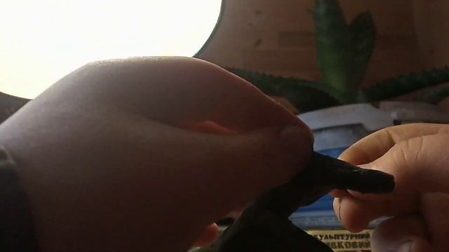 лепка из пластилина Дракон ?? из пластилина ?#лепка#пластилин #как #лепка из пластилина смотреть онлайн