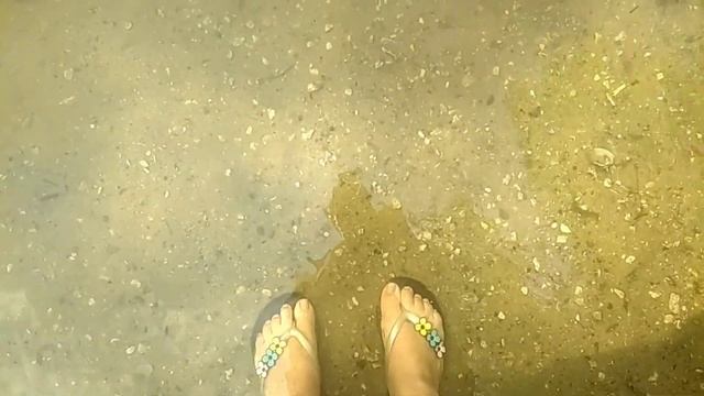 Матырское водохранилище (Липецкое море). Место, где можно отдохнуть и искупаться с семьей.